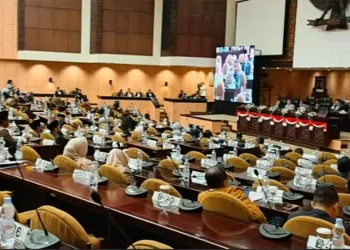 Senator Paul Vincent: Sampaikan ke Pak Prabowo Sama Bahlil, Papua Menolak Ditanami Sawit
