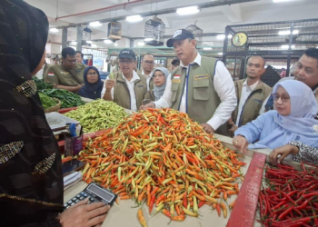 Pemerintah Sidak Pasar Sepekan, Harga Daging-Cabe Turun