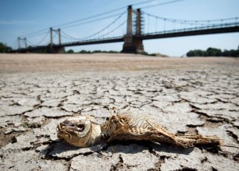 Panas Ekstrem Panggang Eropa: Ratusan Juta Warga Hadapi Suhu di Atas 35°C