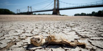 Panas Ekstrem Panggang Eropa: Ratusan Juta Warga Hadapi Suhu di Atas 35°C