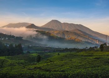 Gelar Event Internasional, Taman Nasional Gunung Gede Pangrango Ditutup Total Pekan Depan