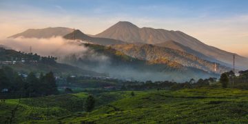 Gelar Event Internasional, Taman Nasional Gunung Gede Pangrango Ditutup Total Pekan Depan