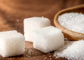 Bahaya Tersembunyi di Balik Konsumsi Gula Berlebih