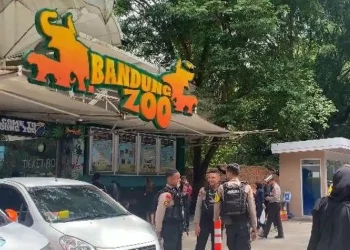 FK3I Beri Catatan Penting untuk Pengelola Baru Bandung Zoo: Prioritaskan Kesejahteraan Satwa dan Warga Sekitar