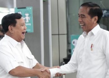 Presiden Prabowo Kirim Bunga hingga Telepon Jokowi yang Berulang Tahun ke-65