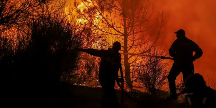 Tiga Kebakaran Lahan Sehari, Bandung Barat Siaga Musim Kemarau