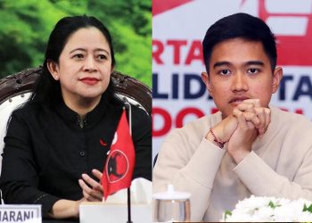 Puan Maharani vs Kaesang, Ketum PSI Siap Nyaleg di Dapil V Jawa Tengah