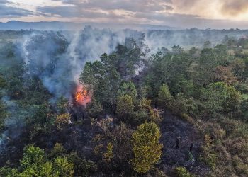 143 Karhutla Terjadi di Jabar, Dedi Mulyadi Minta Pendakian Gunung Cianjur dan Bogor Dihentikan