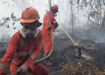 Karhutla Kalimantan Makin Mengkhawatirkan, Pemerintah Kembali Andalkan Modifikasi Cuaca