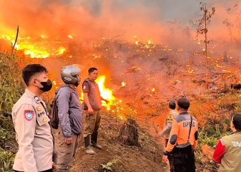 Karhutla Bakar 18 Hektare Lahan Perhutani di Sukabumi, Diduga Disengaja