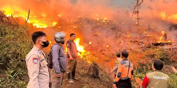 Karhutla Bakar 18 Hektare Lahan Perhutani di Sukabumi, Diduga Disengaja