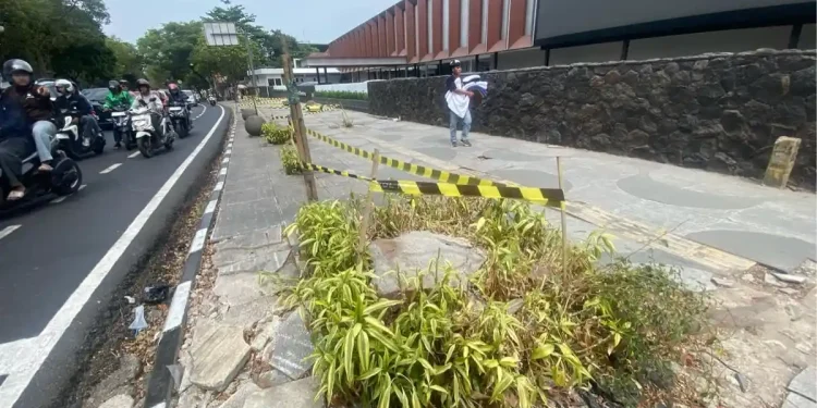 Farhan Ungkap Kronologi Kasus Penebangan 10 Pohon di Jalan Riau