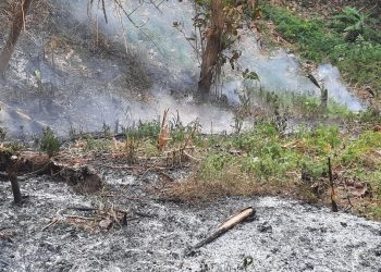 KBB Dilanda Kebakaran, Hutan Dekat TPA Sarimukti Ikut Terbakar