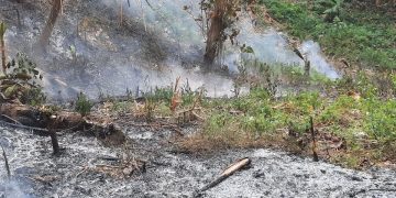KBB Dilanda Kebakaran, Hutan Dekat TPA Sarimukti Ikut Terbakar