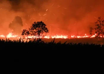 Karhutla Meluas di Gunung Ijen, Api Terlihat dari Permukiman Warga di Lereng