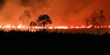 Karhutla Meluas di Gunung Ijen, Api Terlihat dari Permukiman Warga di Lereng