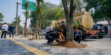 Usai Pohon Ditebang Tanpa Izin, 10 Mahoni Kembali Menghijaukan Jalan Riau Bandung