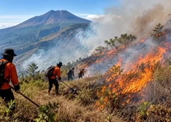 Karhutla Rinjani Meluas, Hampir 1.000 Hektare Terbakar
