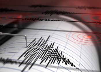 BMKG Catat Gempa M 3,8 di Manggarai NTT, Terjadi Pagi Hari