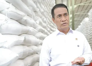Amran Garansi Harga Beras Turun Pekan Ini, Bulog Diminta Genjot Pasokan