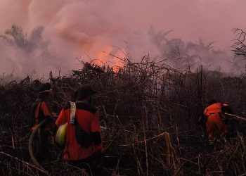 Karhutla Hanguskan 833 Hektare Lahan di Jabar, Dinkes Waspadai Lonjakan ISPA