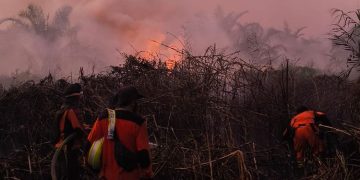 Karhutla Hanguskan 833 Hektare Lahan di Jabar, Dinkes Waspadai Lonjakan ISPA