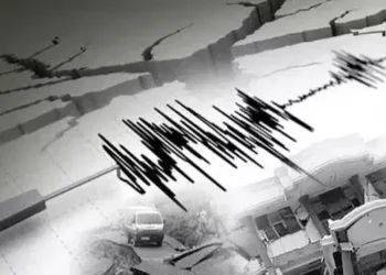 Gempa M 4,4 Guncang Pacitan, Berpusat di Laut