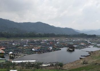 Waduk Saguling Menyusut Drastis, Pembudidaya Ikan hingga Petani KBB Mulai Kesulitan